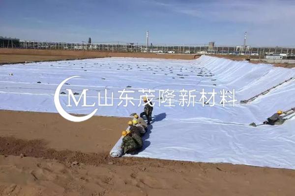 《山東濱州垃圾填埋場》土工布施工